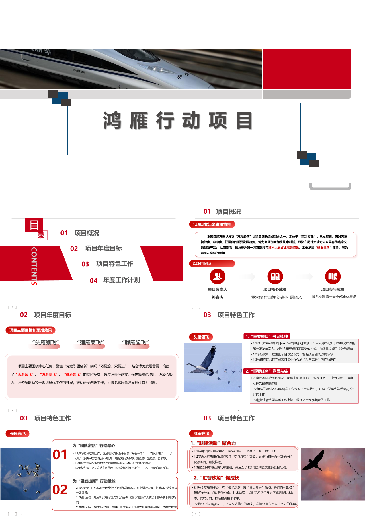 标准静态红色工作汇报鸿雁行动项目