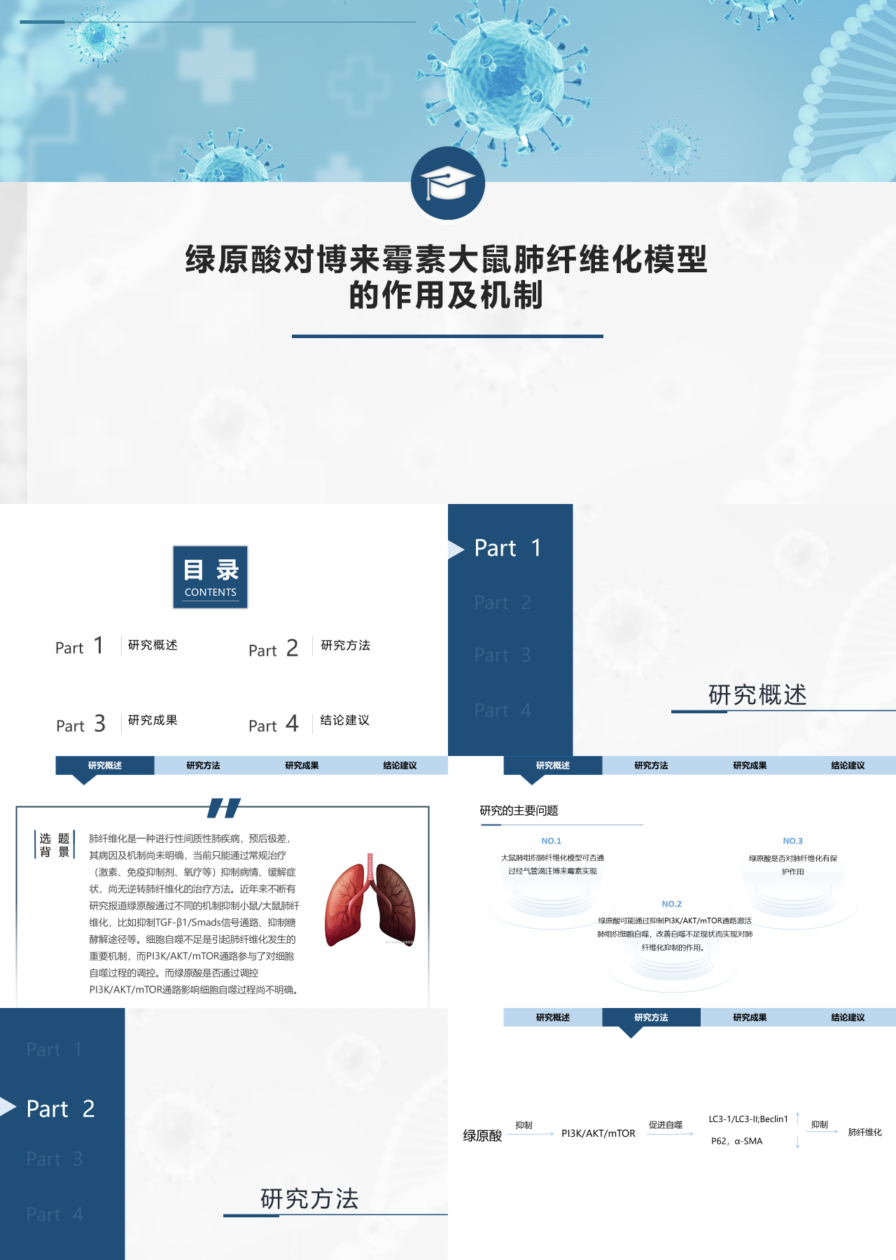 标准静态简约论文答辩绿原酸对博来霉素大鼠肺纤维化模型的作用及机制