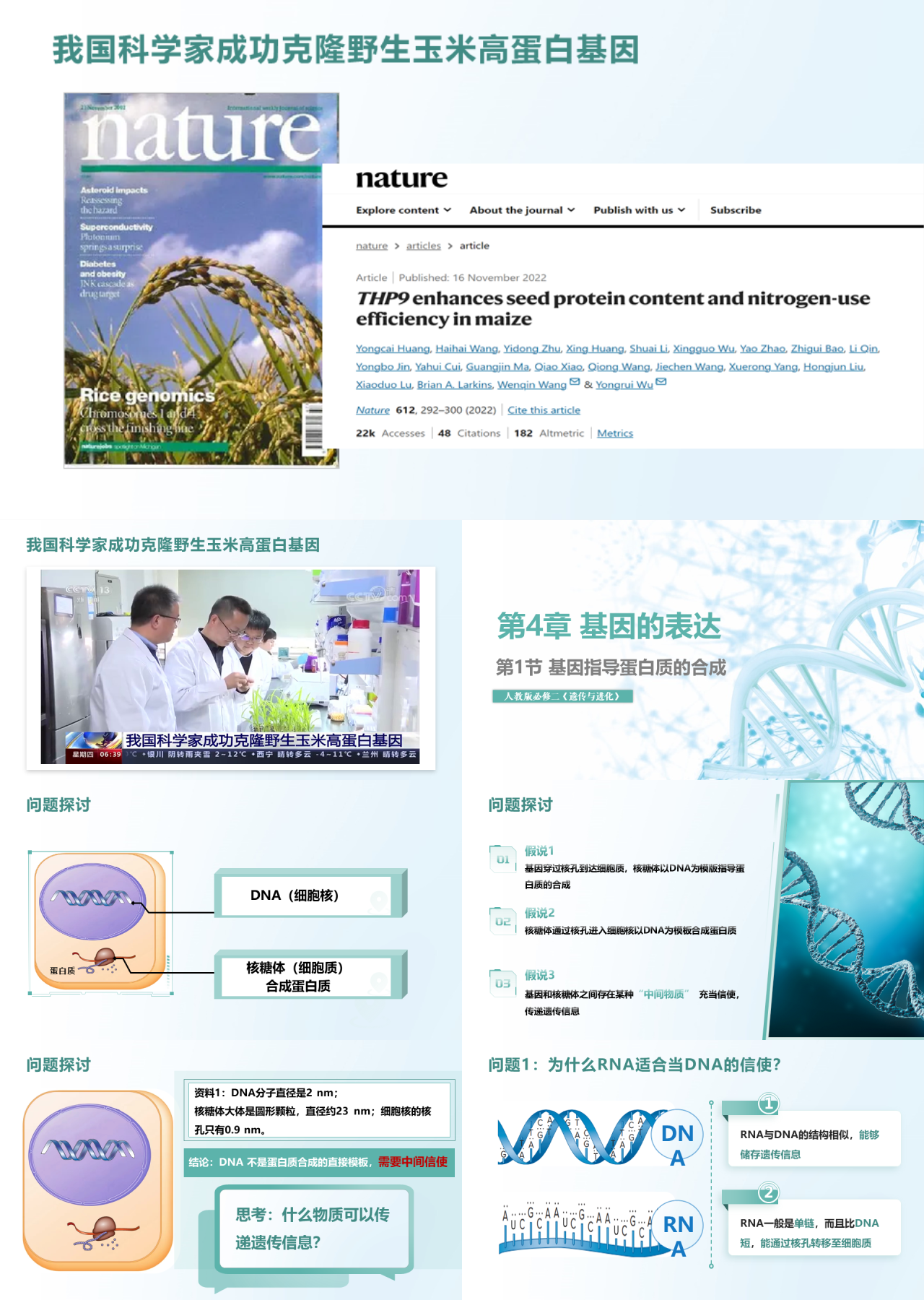 标准动态绿色工作汇报DNA指导蛋白质的合成