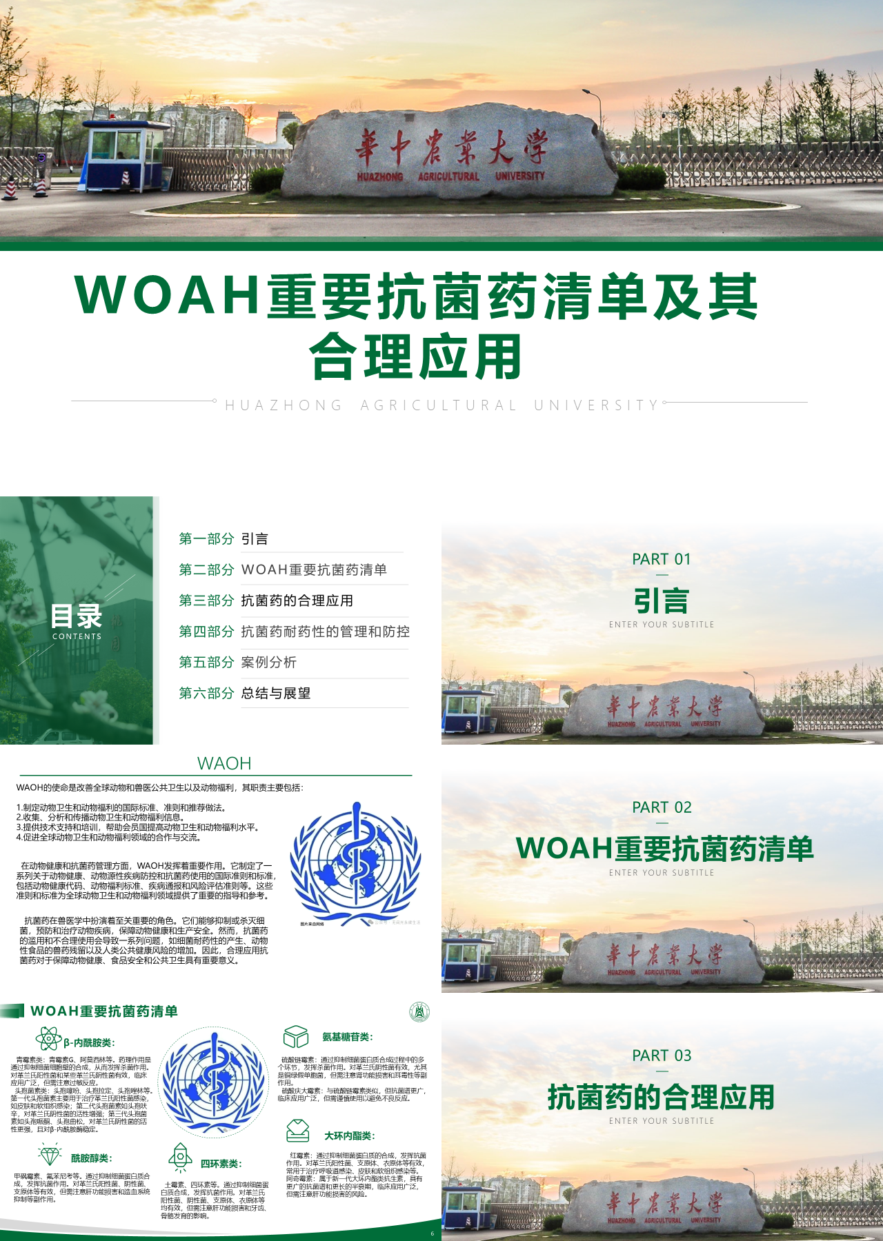 标准静态绿色论文答答辩WOAH重要抗菌药清单及其合理应用