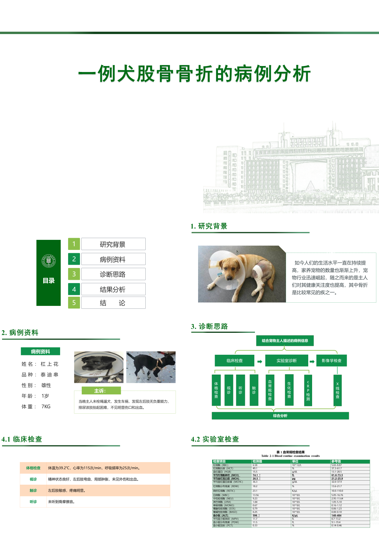 标准静态绿色论文答辩一例犬股骨骨折的病例分析