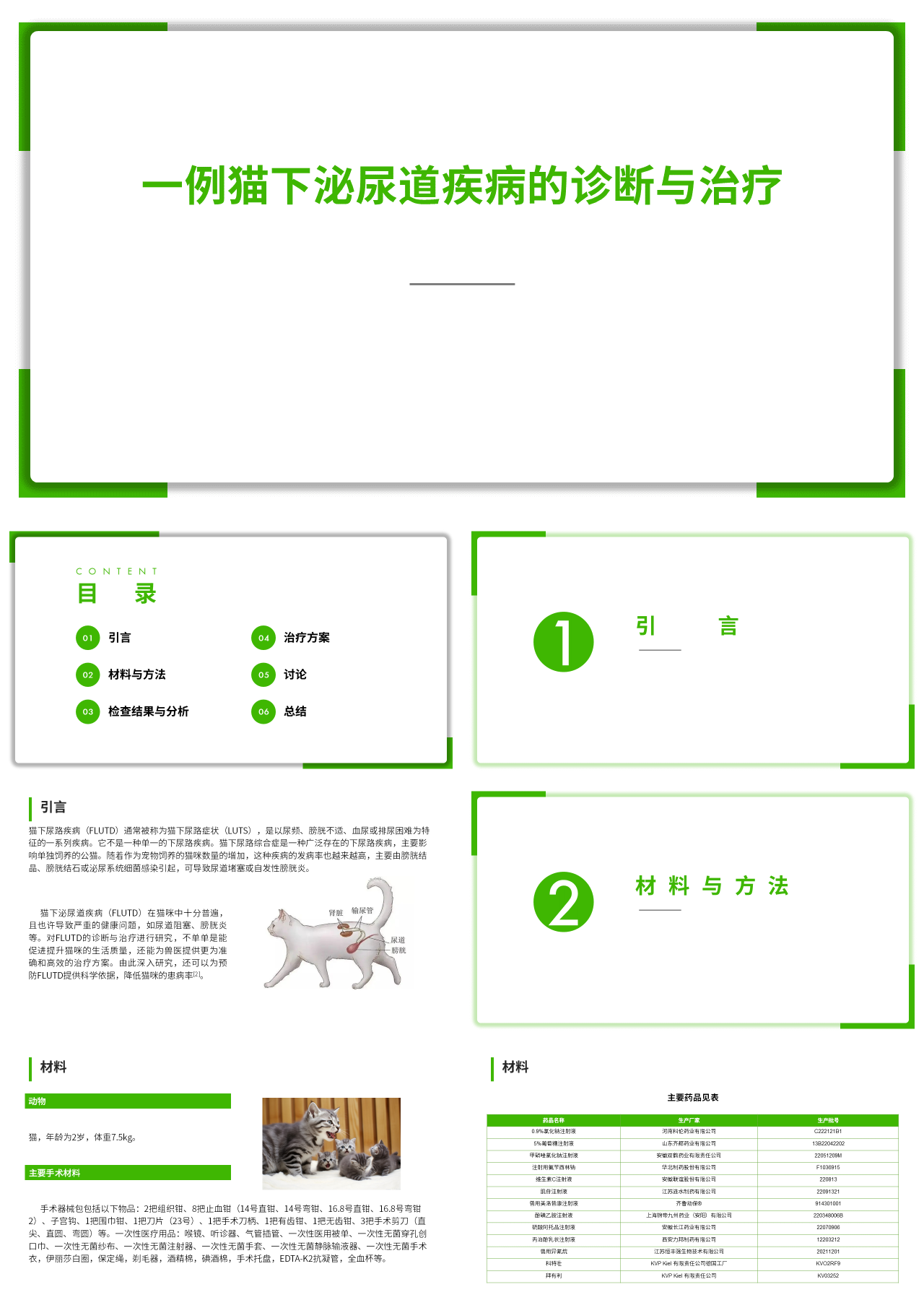 标准静态绿色论文答辩一例猫下泌尿道疾病的诊断与治疗