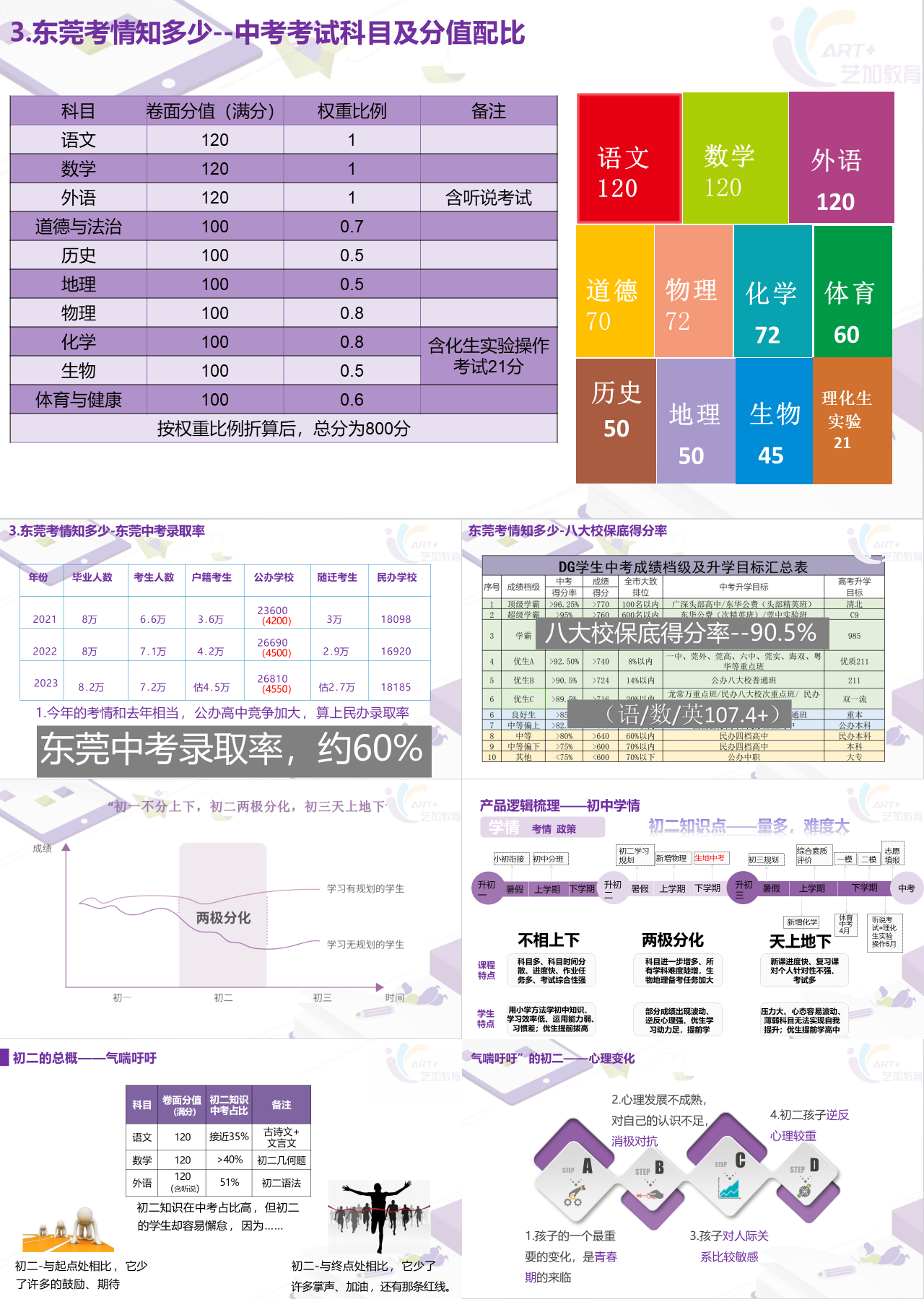 标准静态紫色工作汇报中考