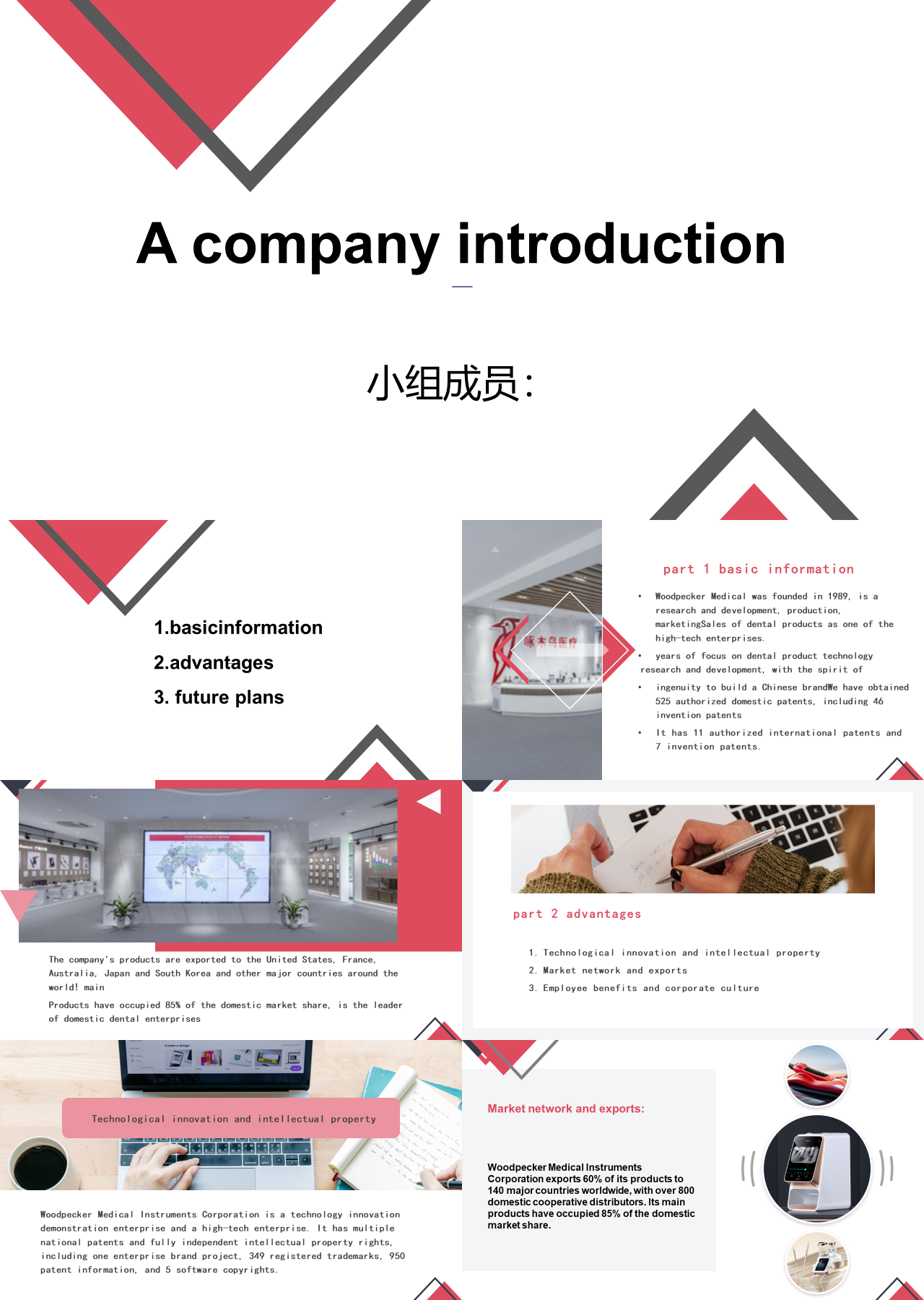 标准静态红色工作汇报companyintroduction