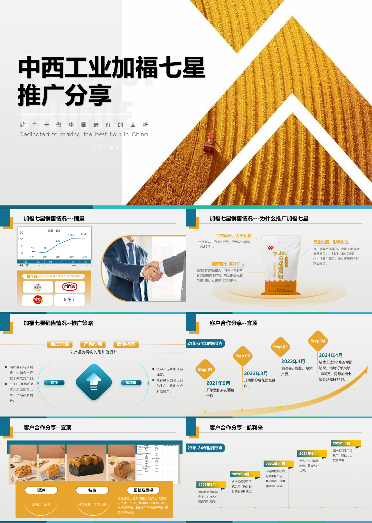 标准静态棕色面粉在工业渠道的价格定位调研汇报