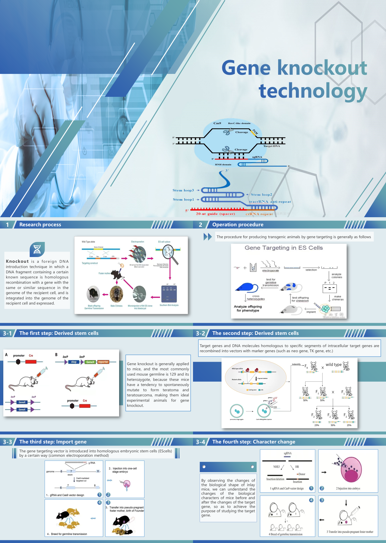 标准静态蓝色工作汇报technology