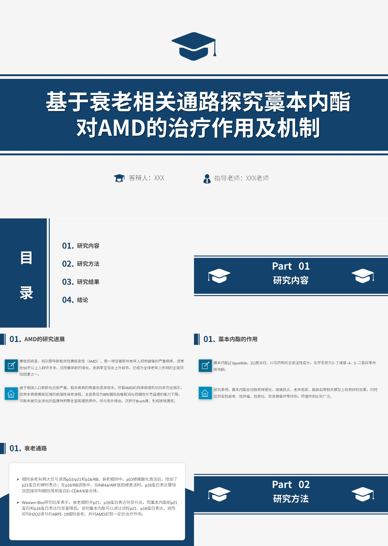 标准静态简约论文答辩基于衰老相关通路探究藁本内酯对AMD的治疗作用及机制