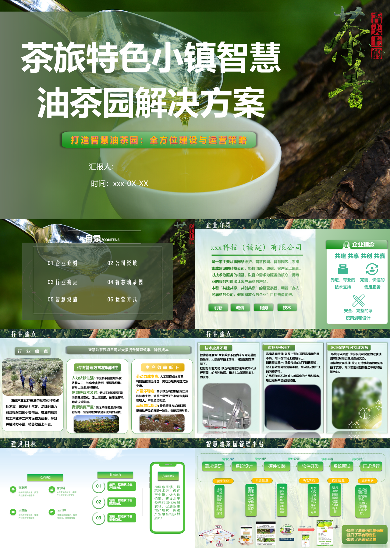 标准静态绿色商业计划书中旺运智慧农村解决方案