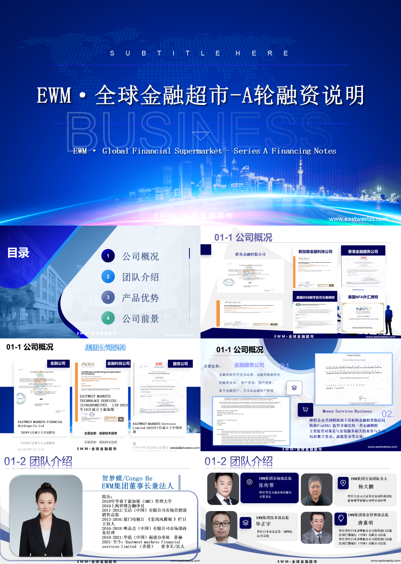 标准动态蓝色商业计划书全球金融超市A轮融资说明