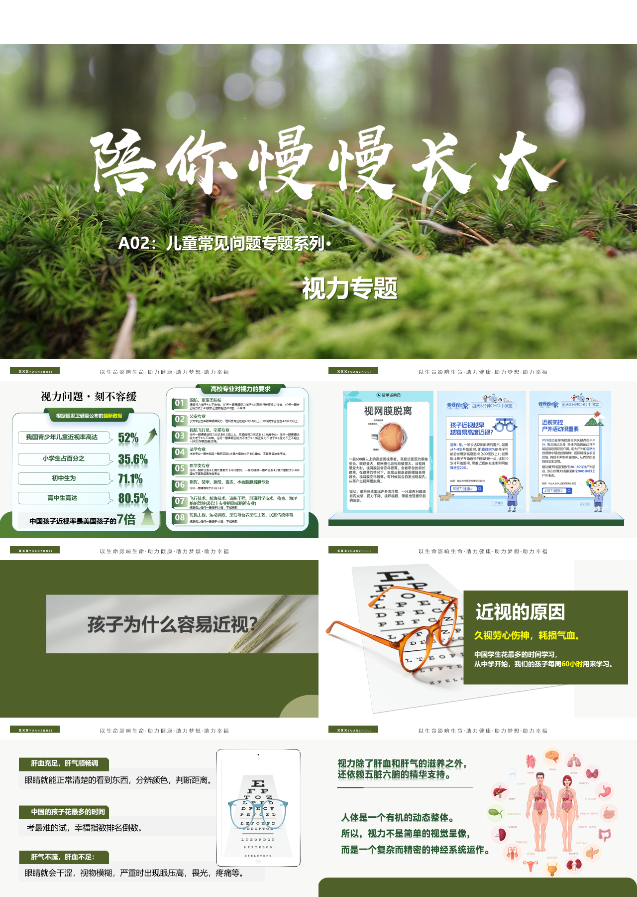 标准静态绿色主题教育陪你慢慢长大
