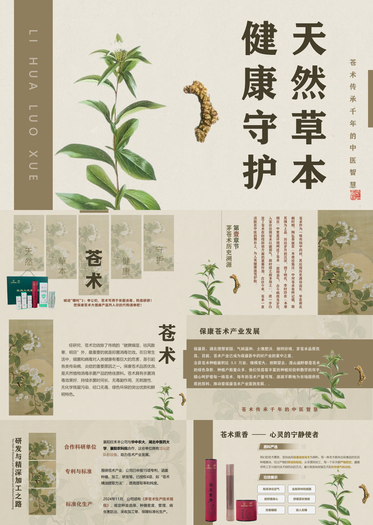 标准静态棕色主题教育天然草本健康守护