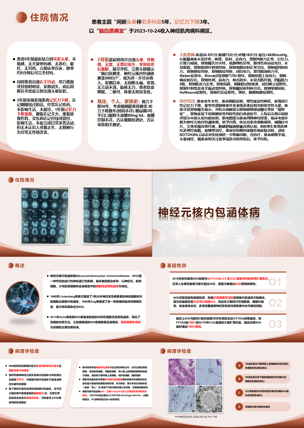 标准静态棕色主题教育神经元核内包涵体病