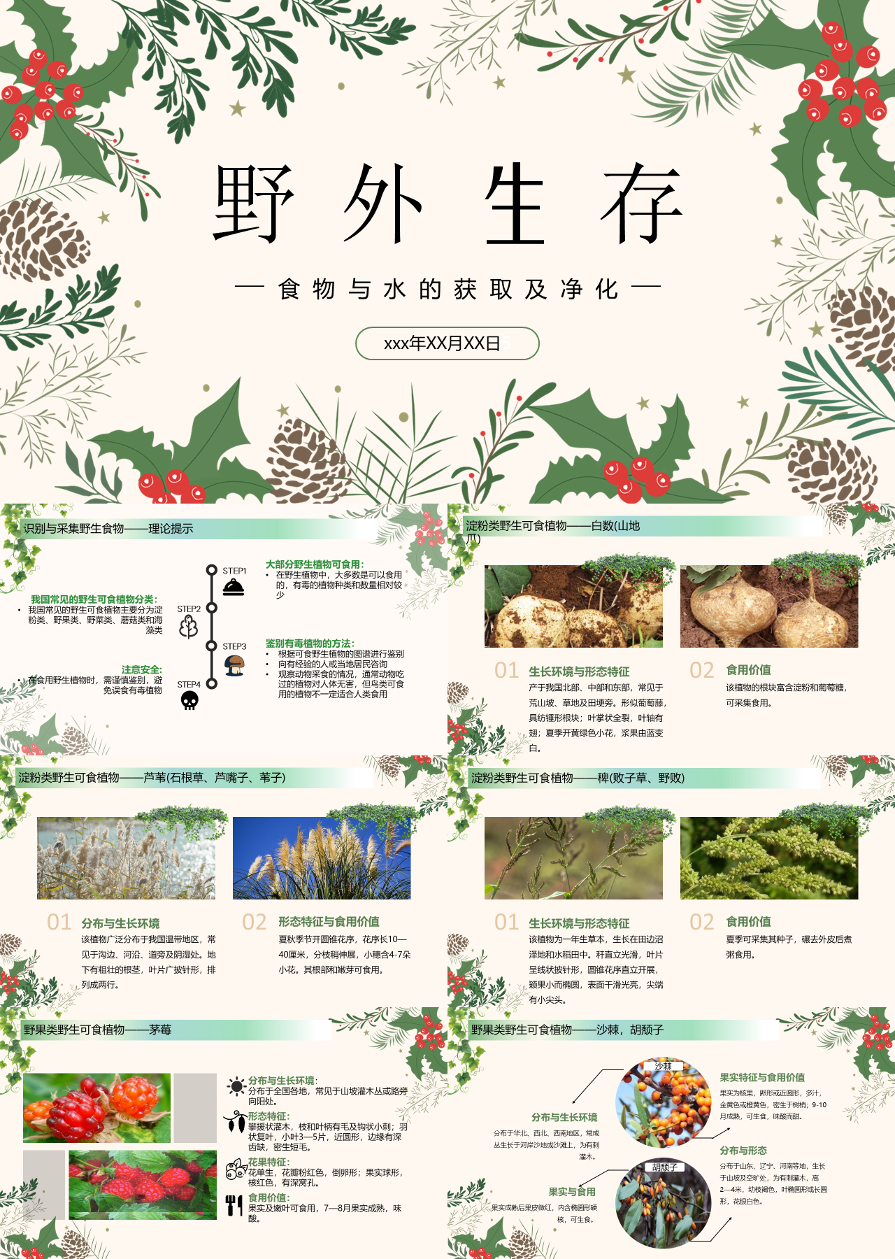 标准静态卡通主题教育食物与水的获取及净化
