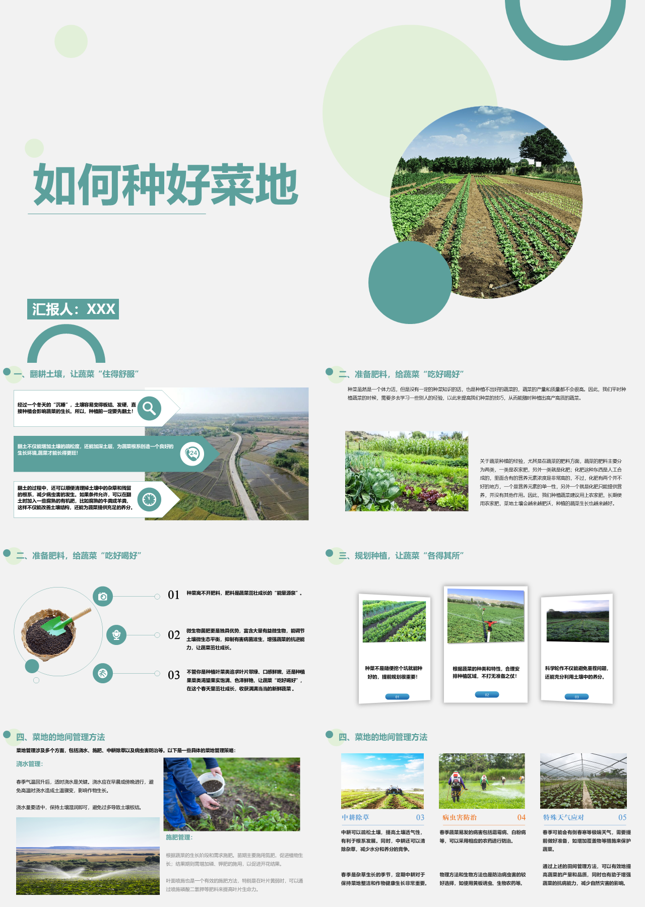 标准静态简约工作汇报如何种好菜地