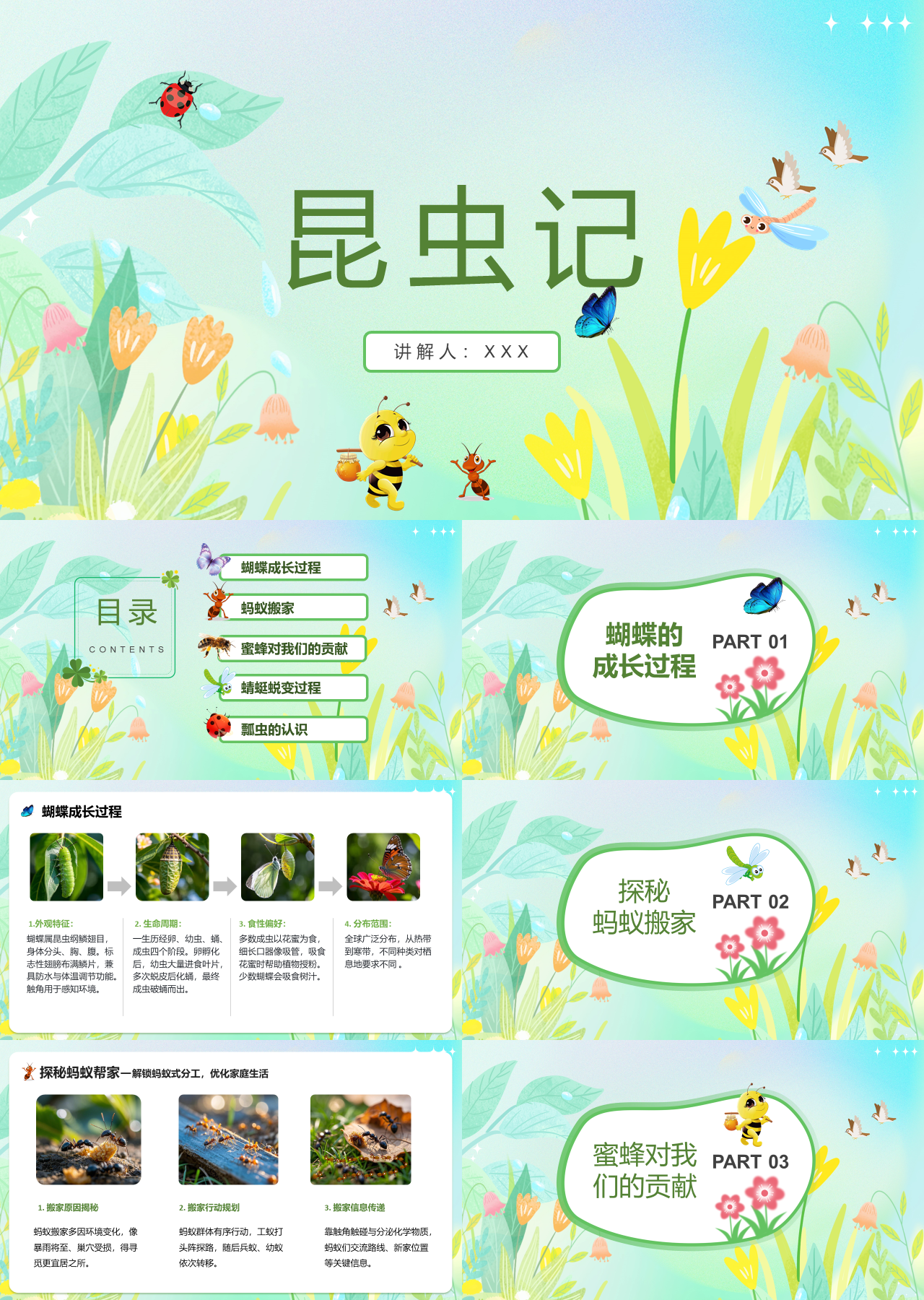 标准静态卡通主题教育昆虫科谱