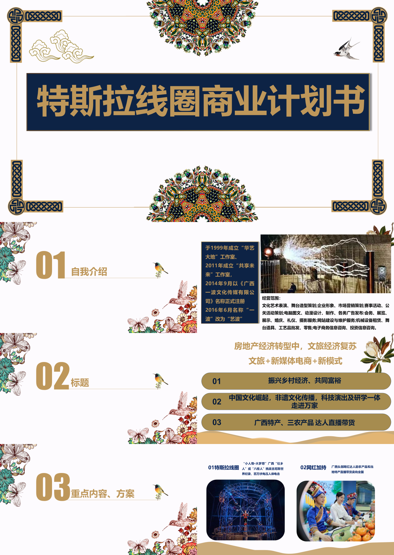 标准动态棕色商业计划书特斯拉线圈