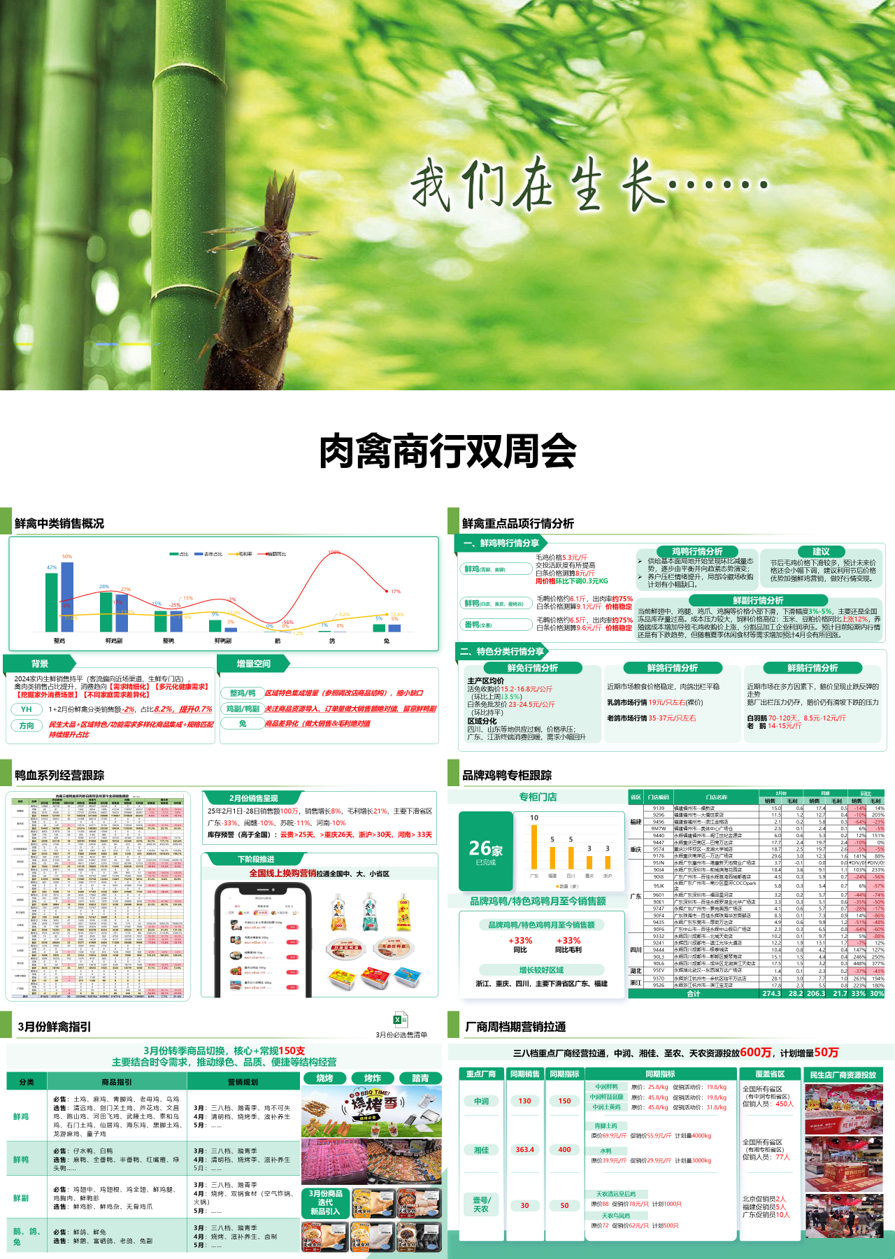 标准静态绿色工作汇报肉禽商行双周会