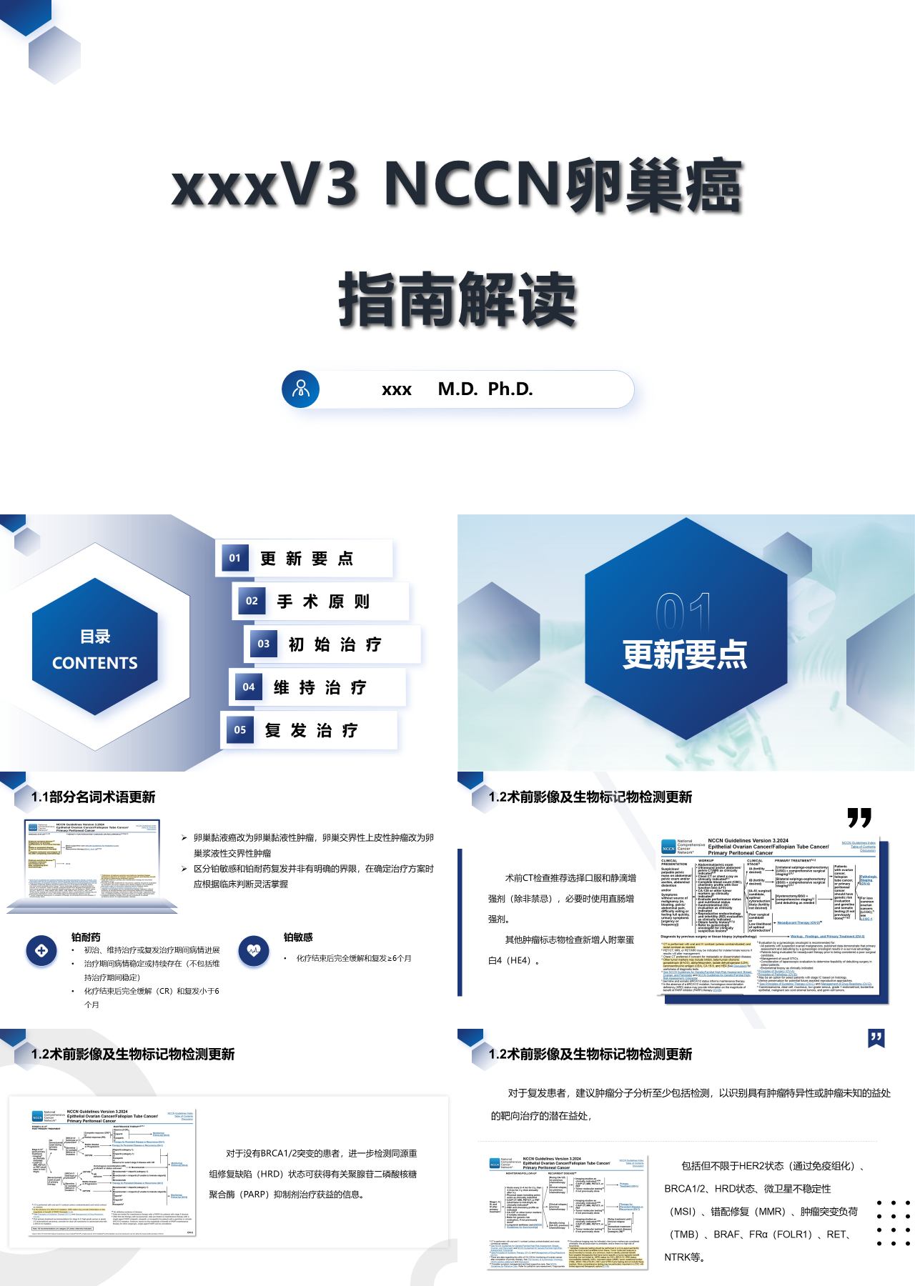 标准静态蓝色主题教育NCCN卵巢癌指南解读