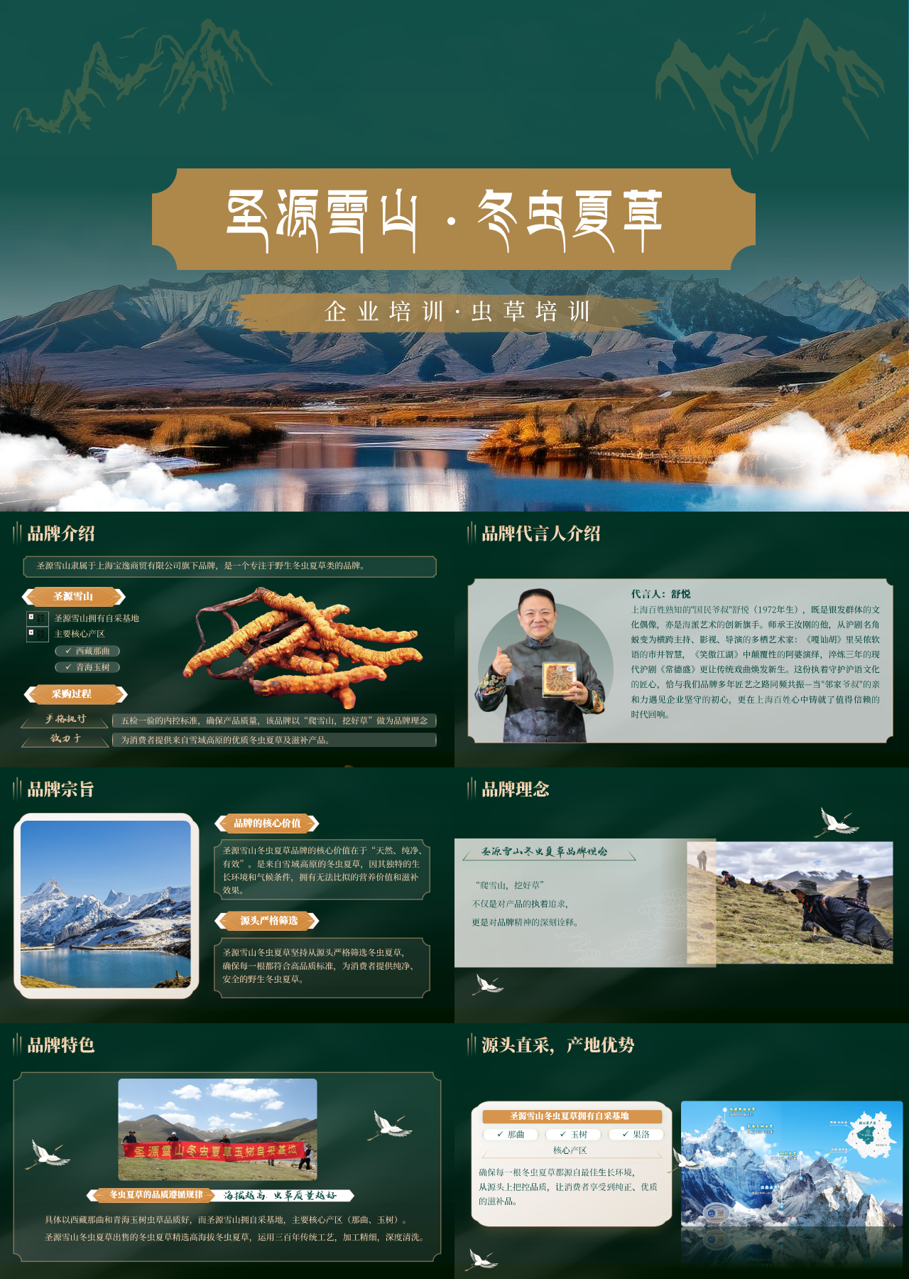 精美静态绿色企业培训冬虫夏草培训