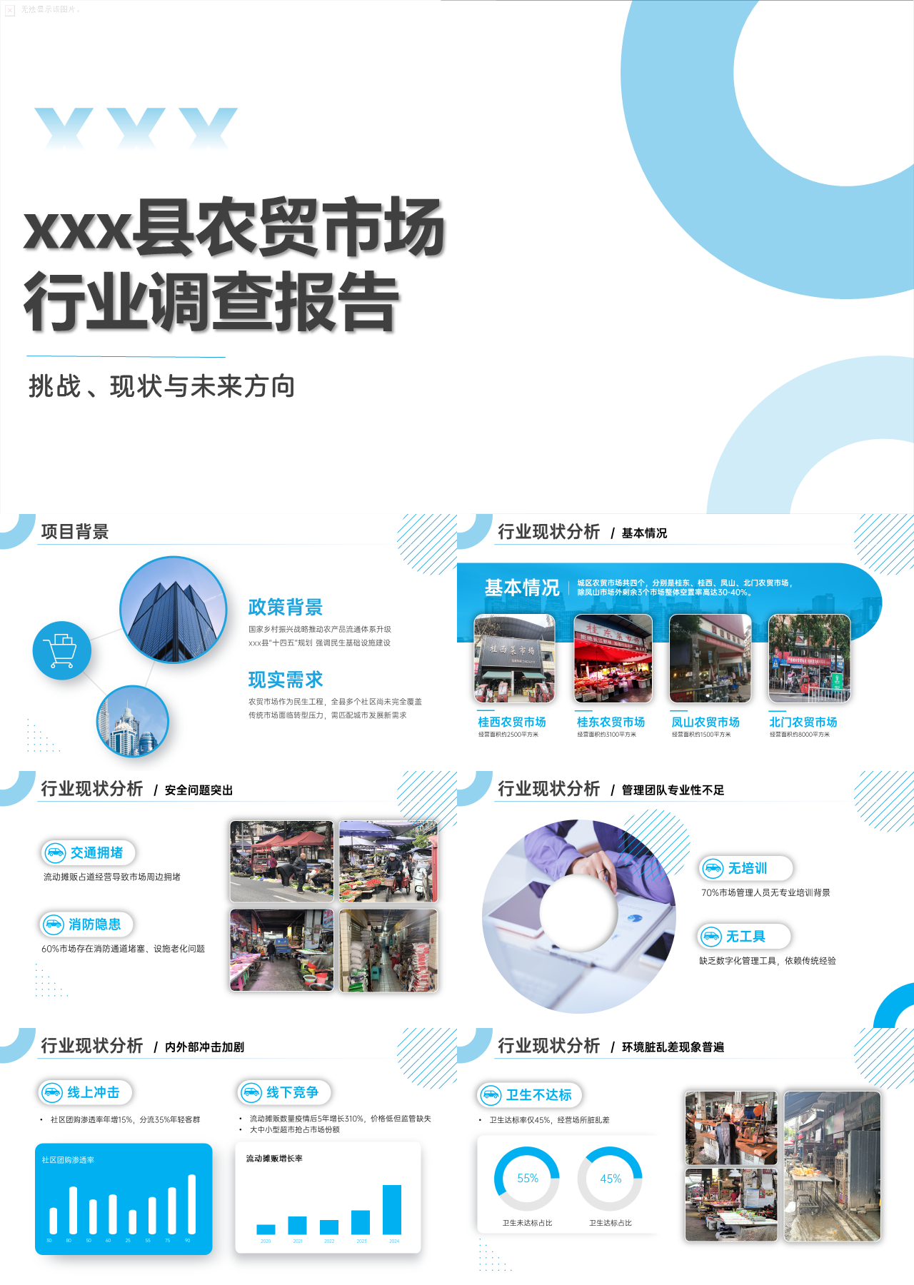 精美静态蓝色工作汇报农贸市场行业调查报告