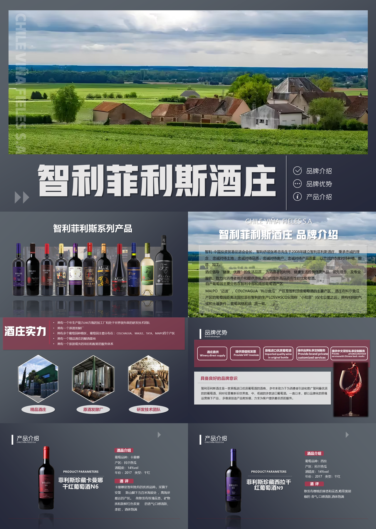 标准静态蓝色企业宣传智利菲利斯酒庄