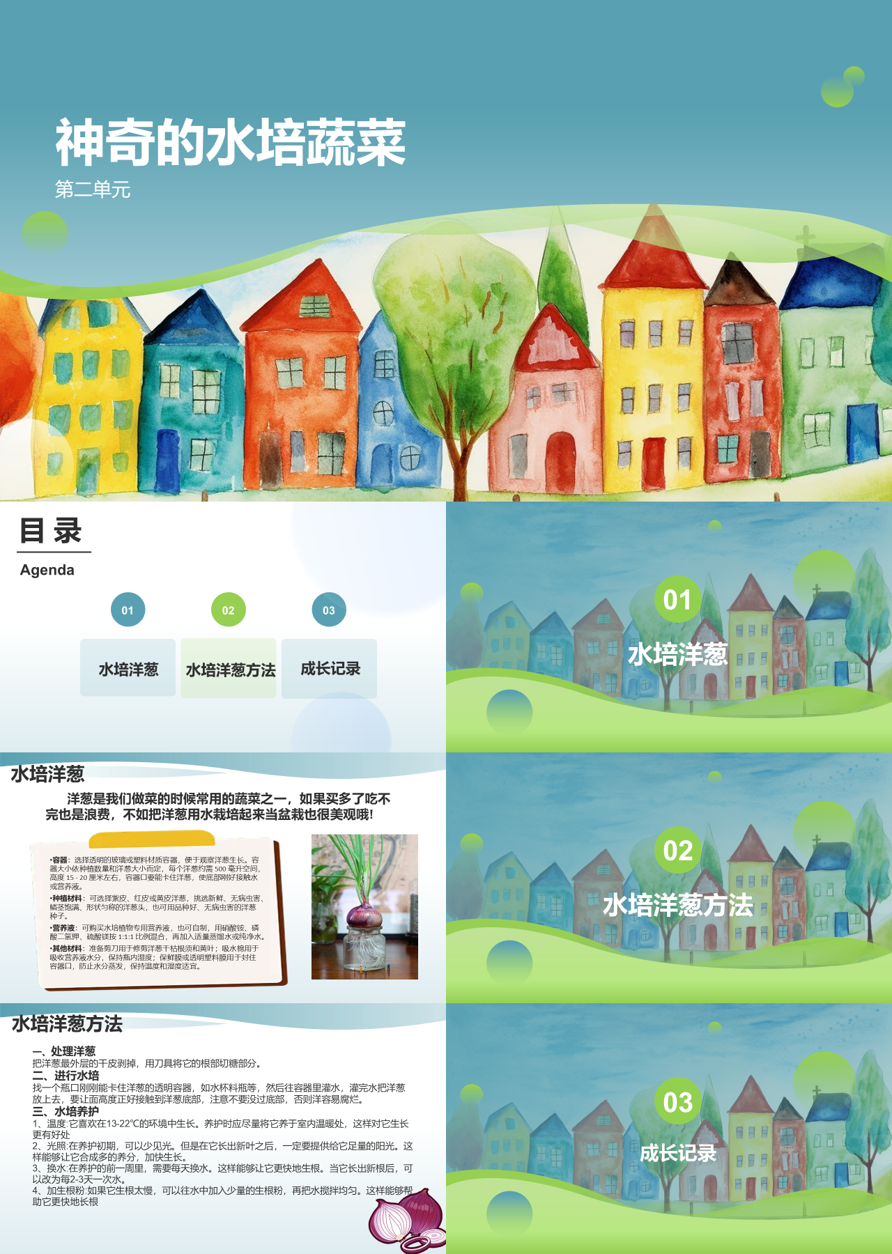 标准静态卡通主题教育神奇的水培蔬菜