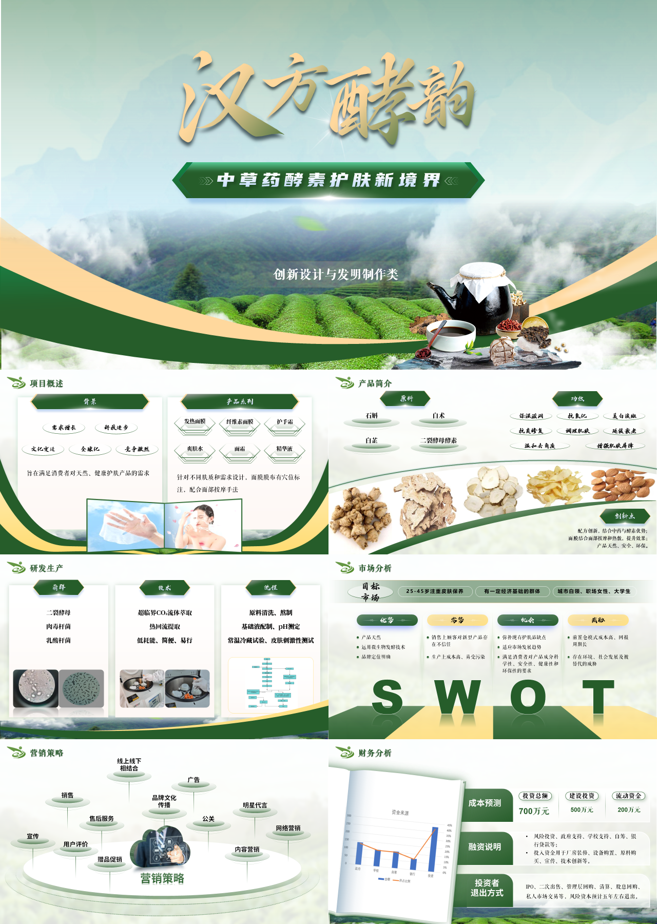 高端动态绿色商业计划书中草药酵素护肤新境界
