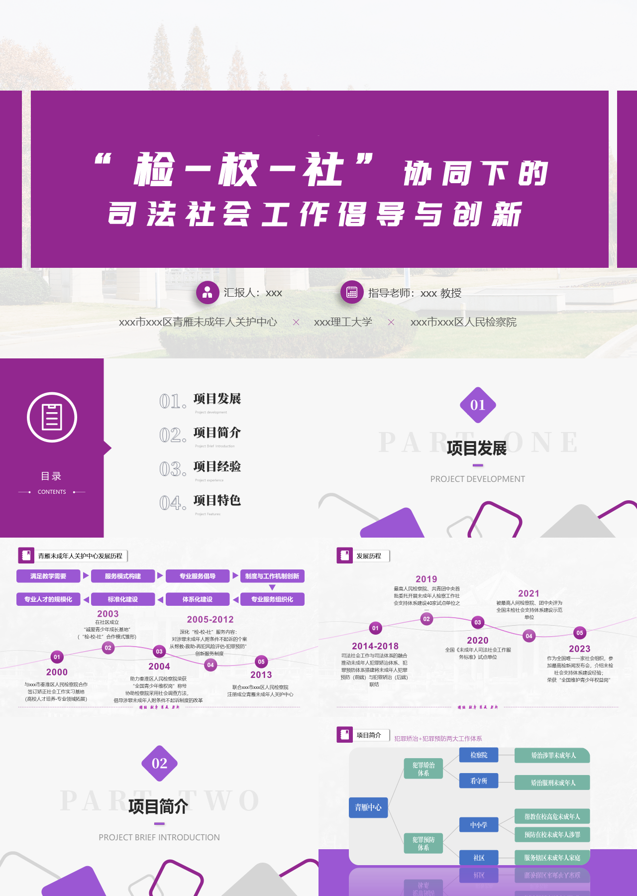 标准静态紫色工作汇报检校社协同下的司法社会工作倡导与创新