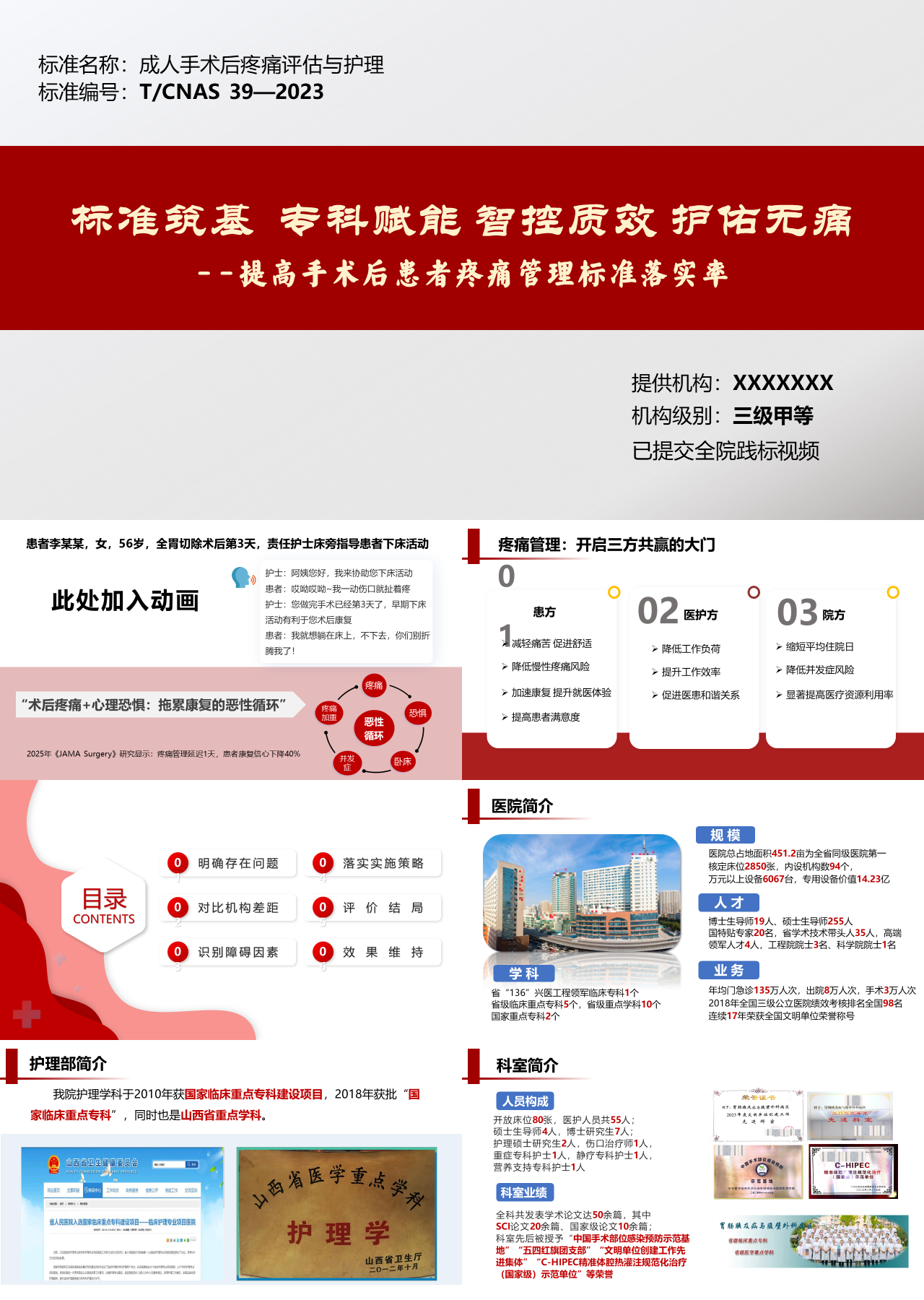 标准静态红色工作汇报成人术后疼痛评估和护理团标比赛