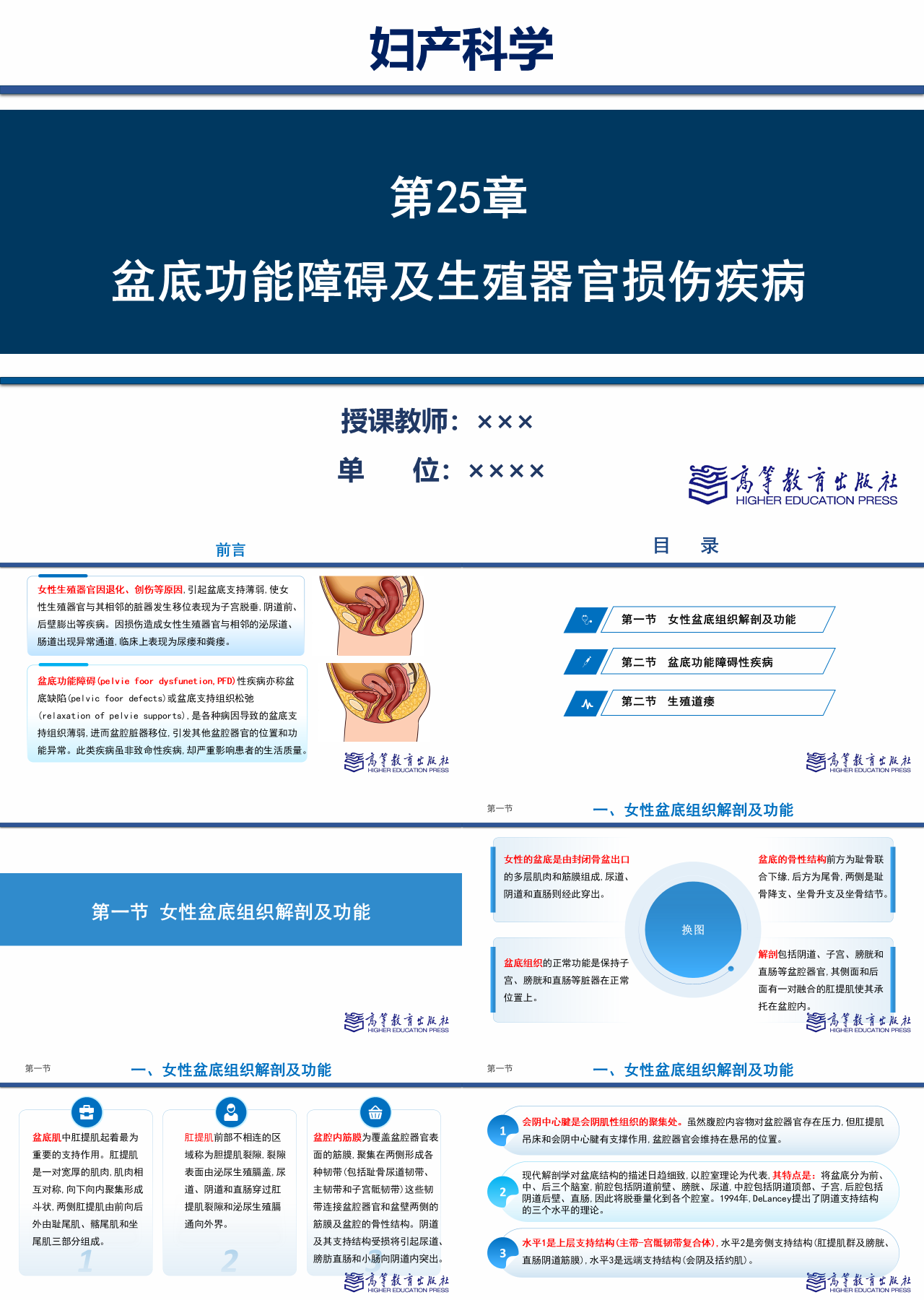 标准静态蓝色主题教育盆底功能障碍及生殖器官损伤疾病