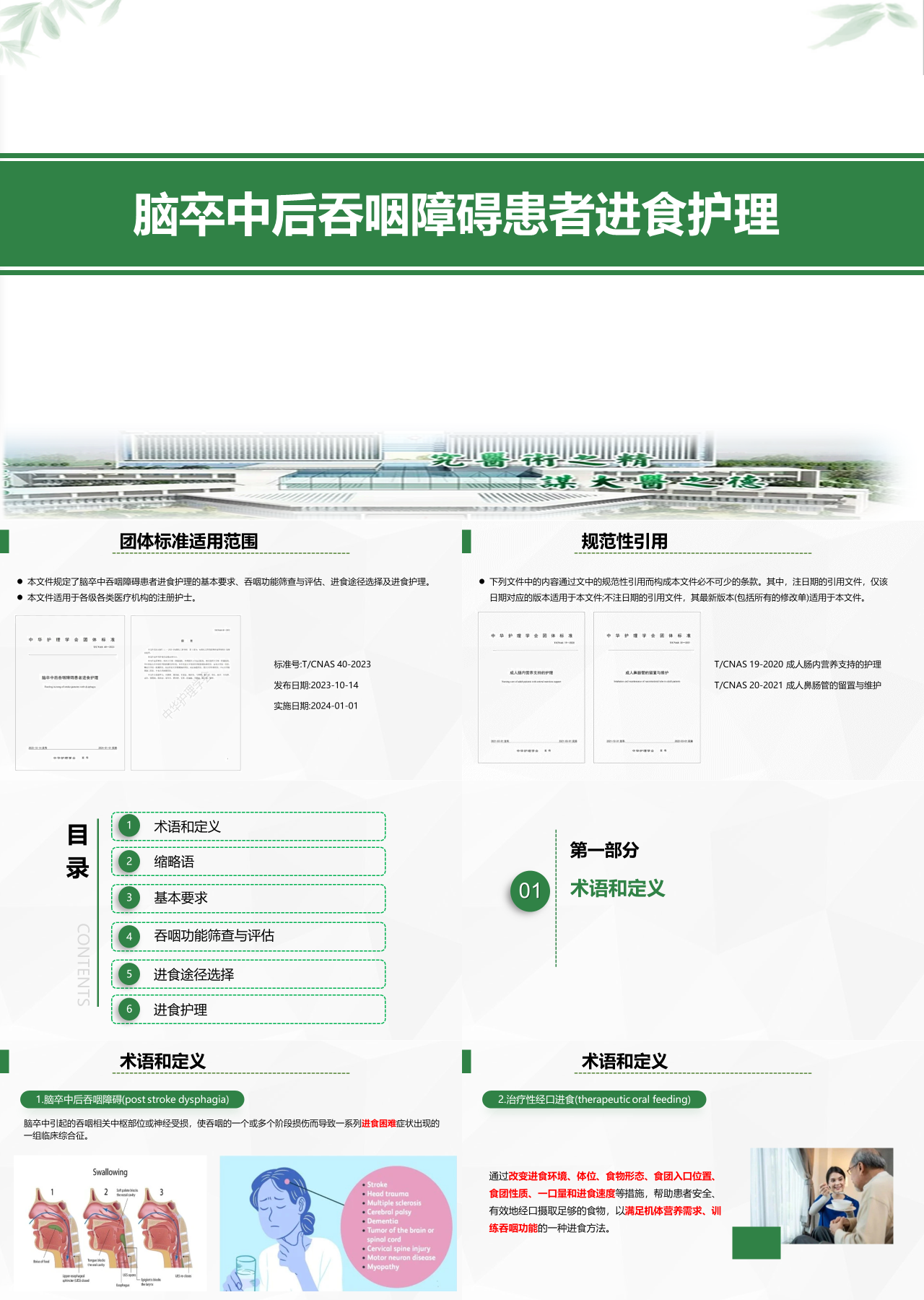 标准静态绿色工作汇报脑卒中后吞咽障碍患者进食护理
