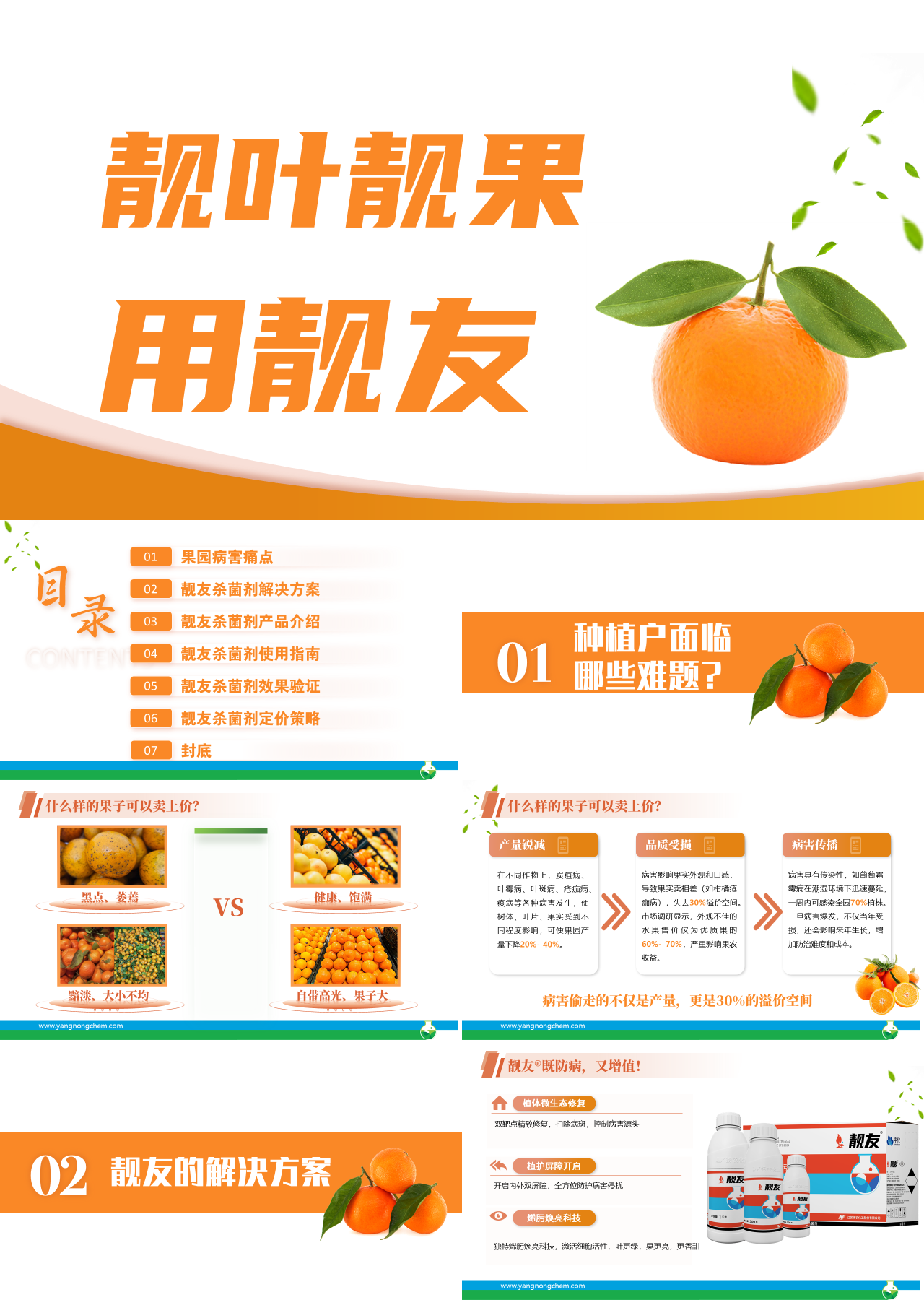 标准静态橙色工作汇报靓叶靓果