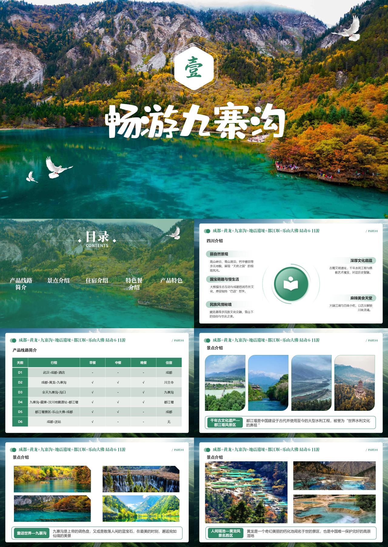 标准静态绿色营销策划畅游九寨沟