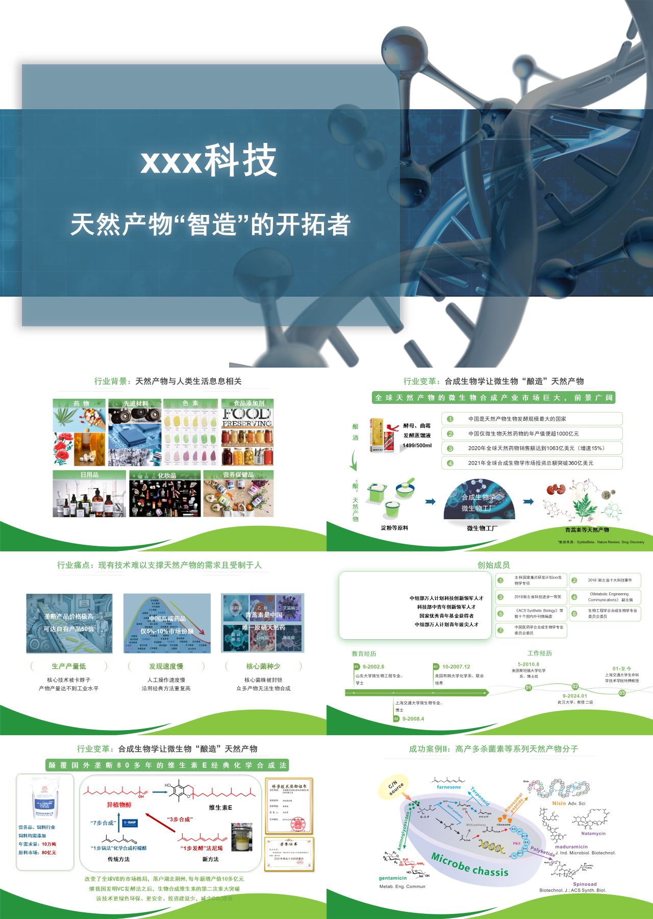 标准静态绿色商业计划书天然产物“智造”的开拓者