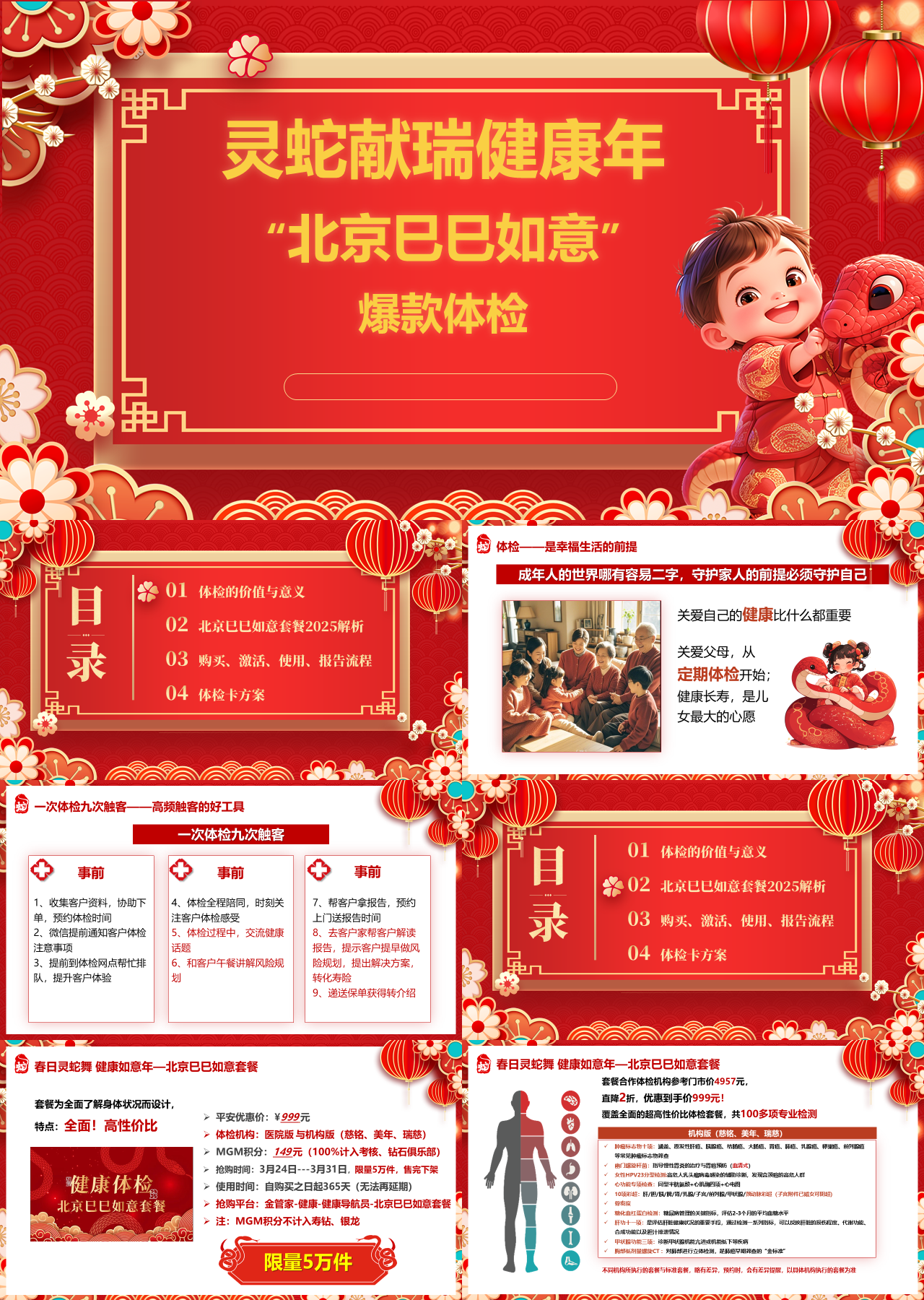 标准静态简约工作汇报灵蛇献瑞健康年