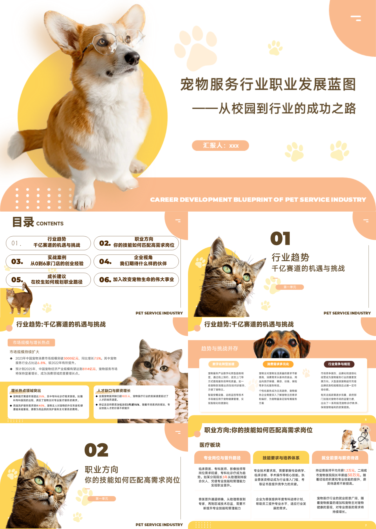 标准静态橙色商业计划书宠物服务行业
