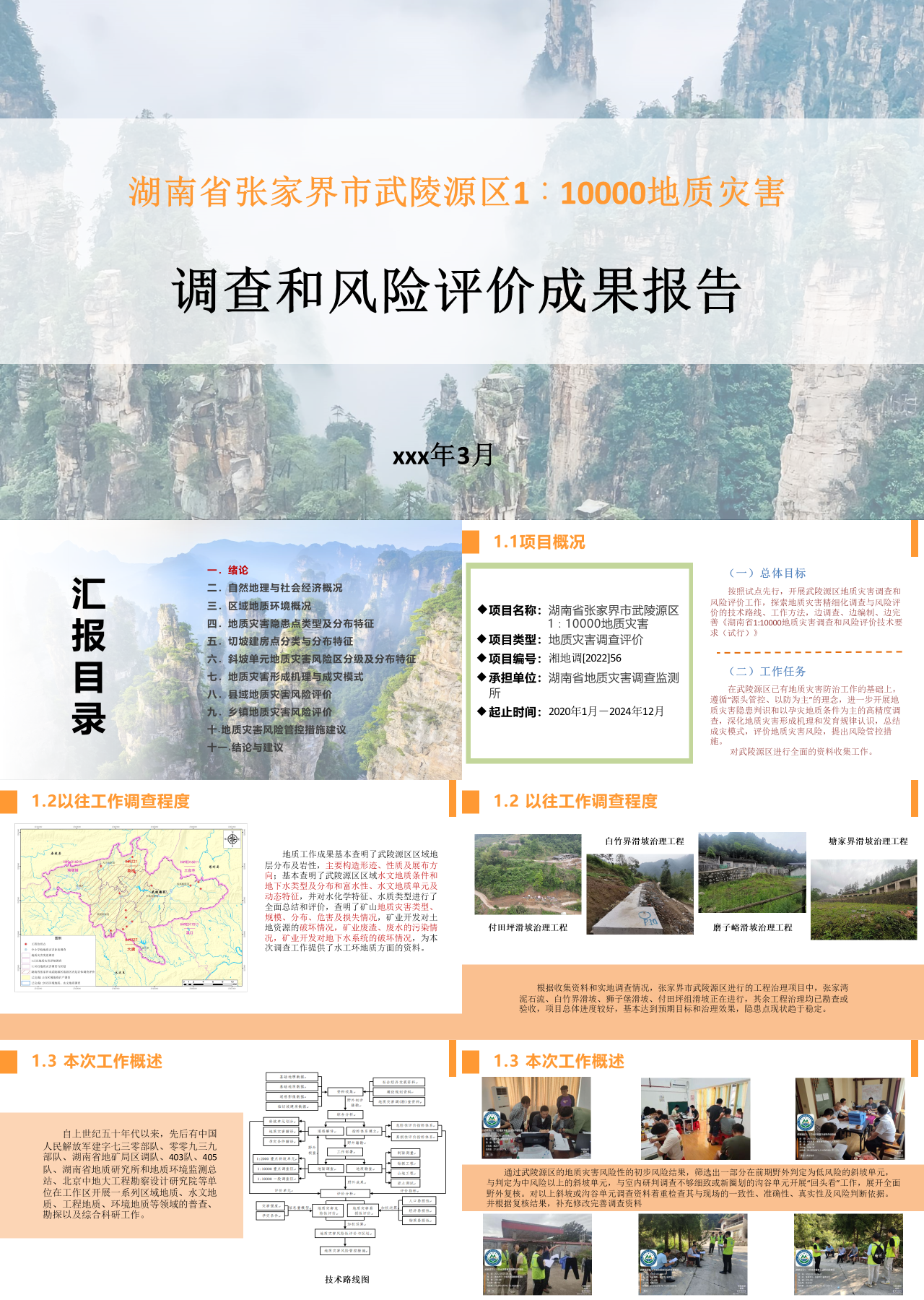 标准静态橙色工作汇报调查和风险评价成果报告