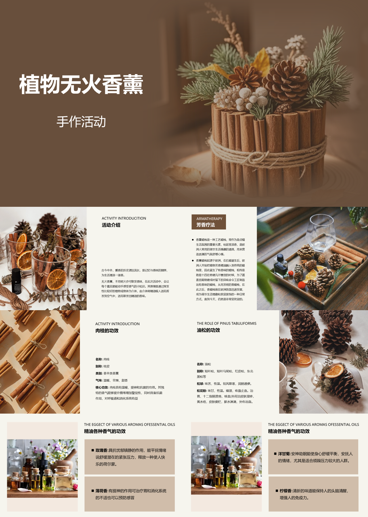 标准静态棕色营销策划植物无火香薰