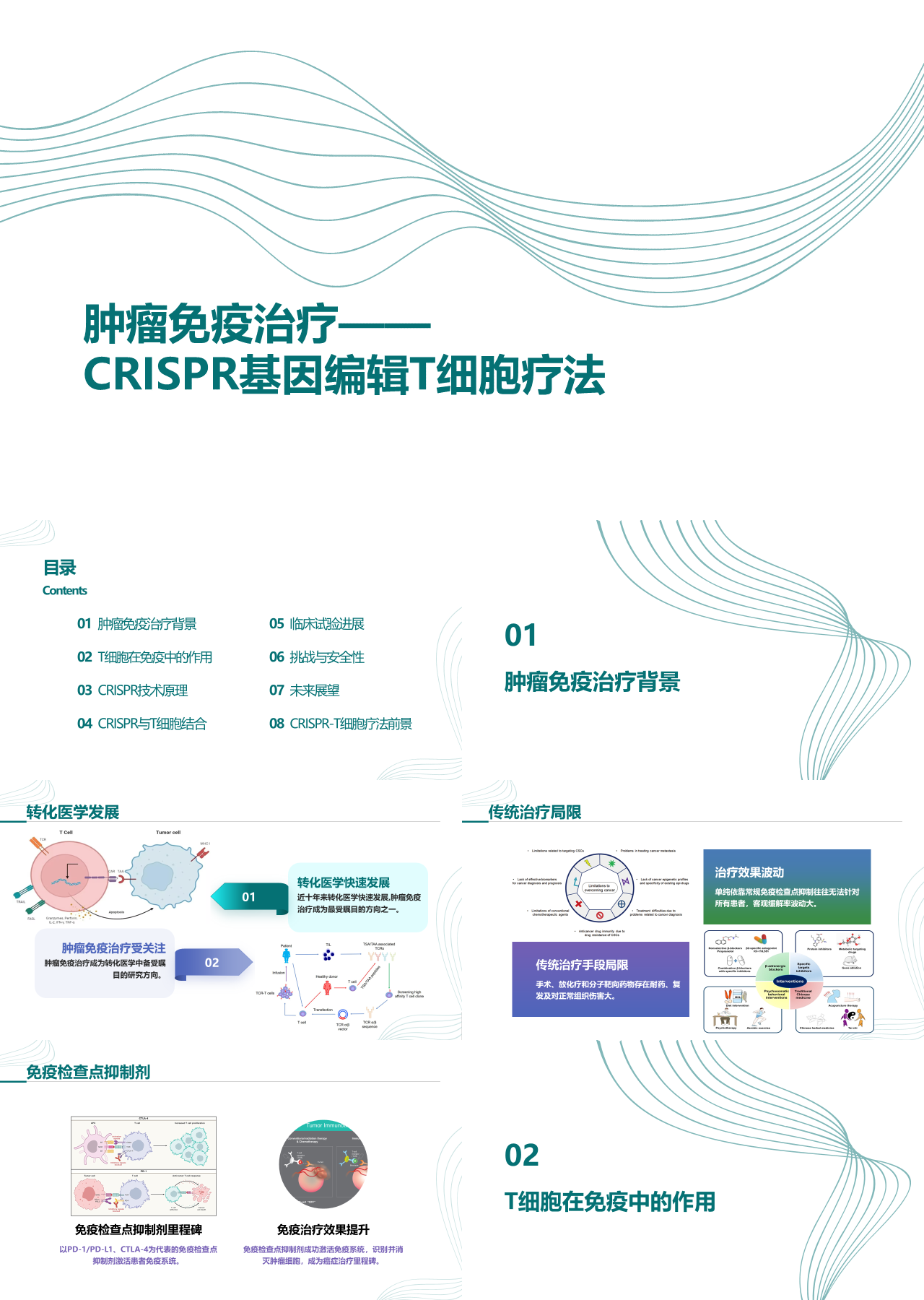 标准静态绿色工作汇报CRISPR基因编辑T细胞疗法