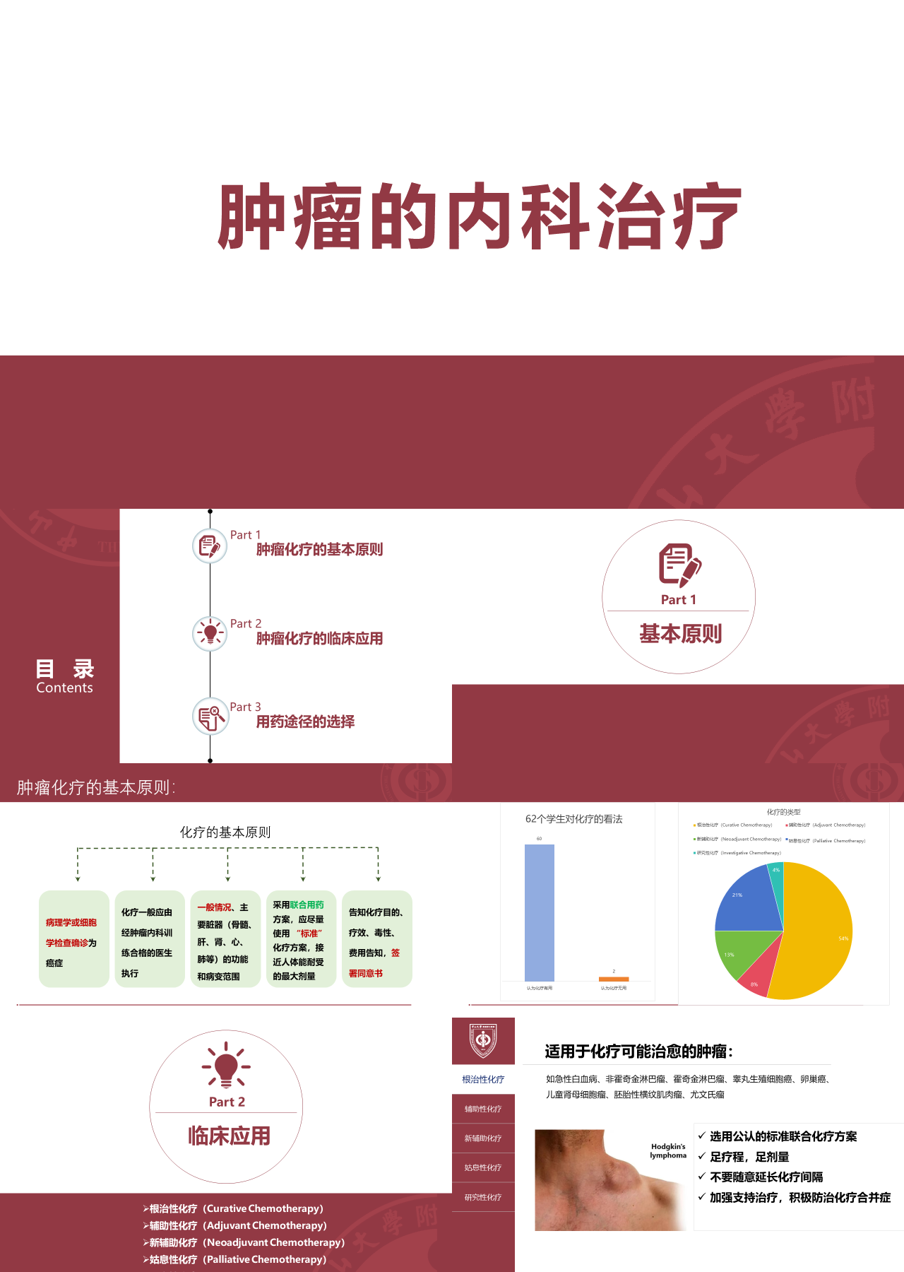 标准静态红色主题教育肿瘤的内科治疗
