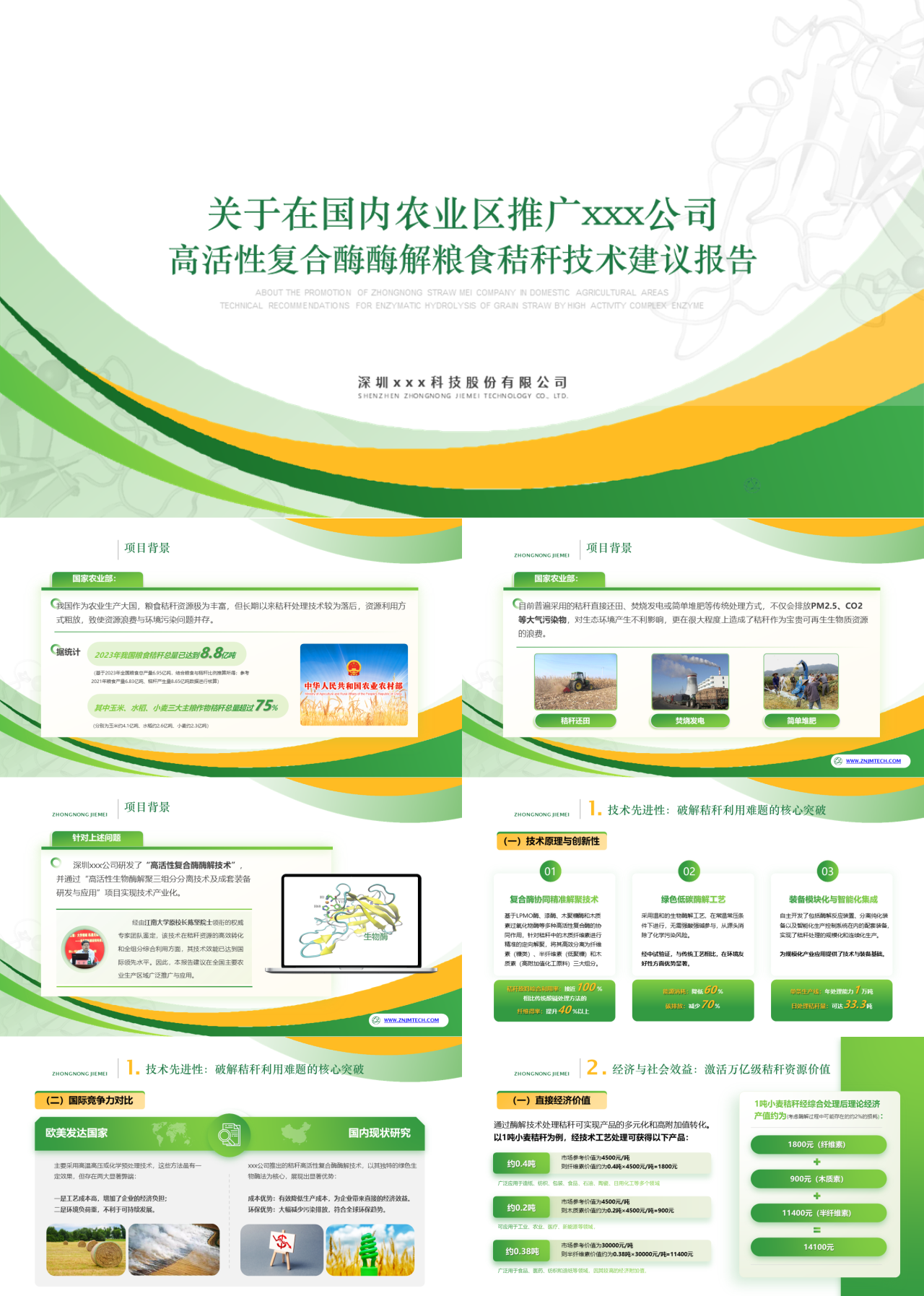 精美静态绿色工作汇报高活性复合酶酶解粮食秸秆技术建议报告