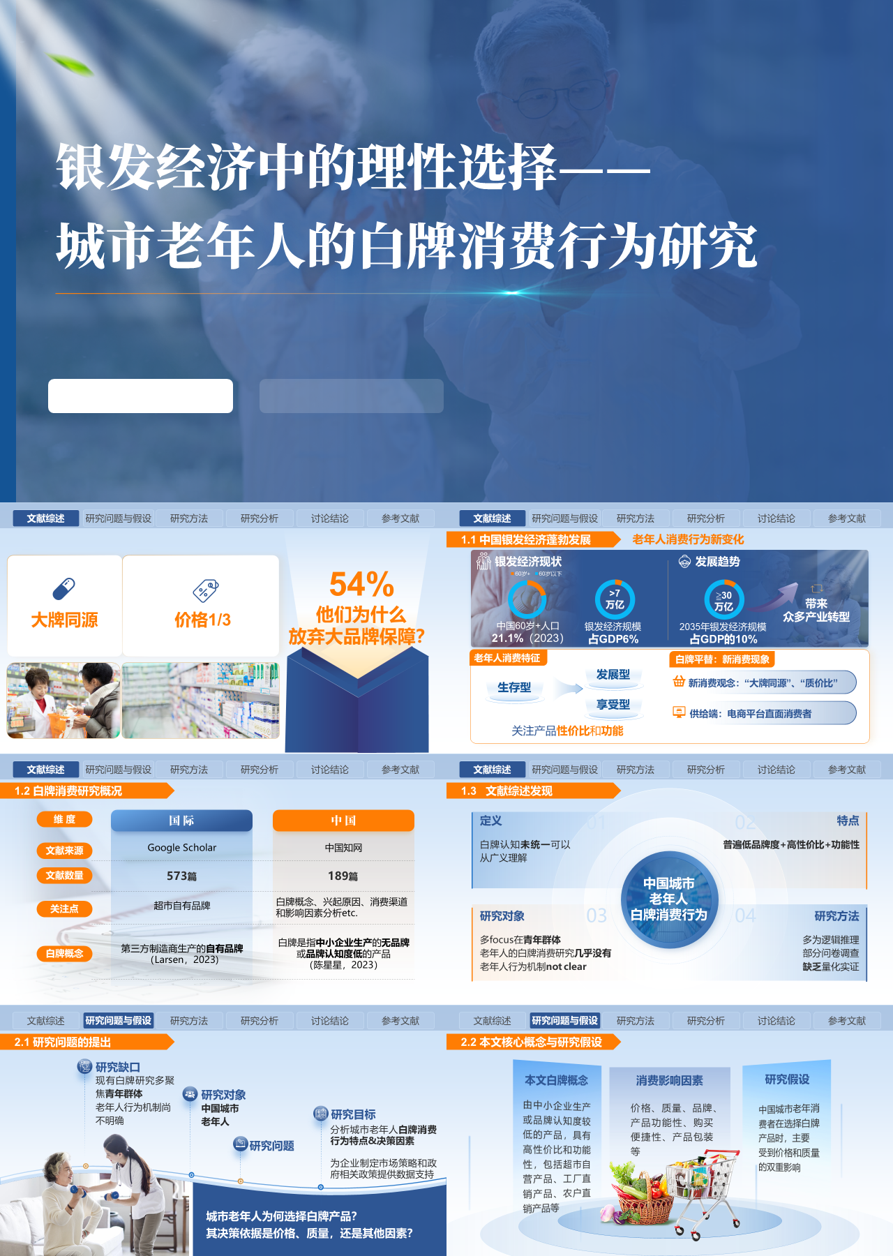 精美静态蓝色论文答辩银发经济中的理性选择